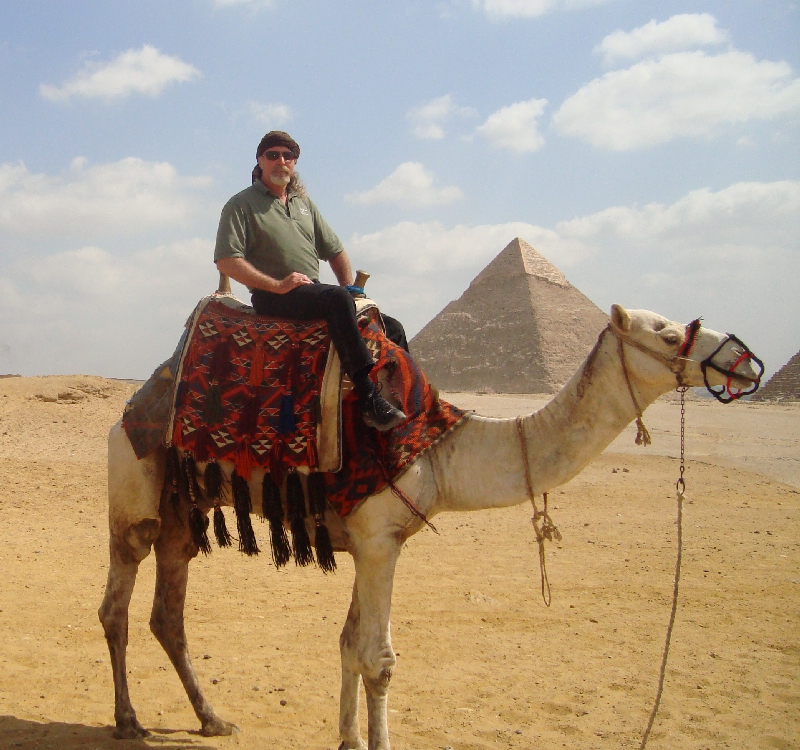Kermit on Camel